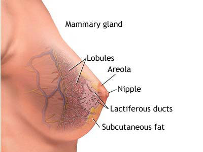 乳腺癌患者都适用瑞宁得吗