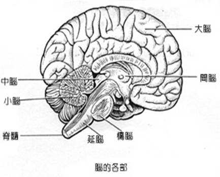 怎样诊断原发性CNS淋巴瘤