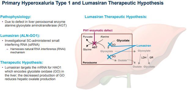 第三款RNAi药物Oxlumo获美国FDA批准，用于治疗原发性高草酸尿症1型_香港济民药业