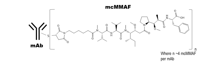 Blenrep说明书-价钱-功效与作用-副作用_香港济民药业